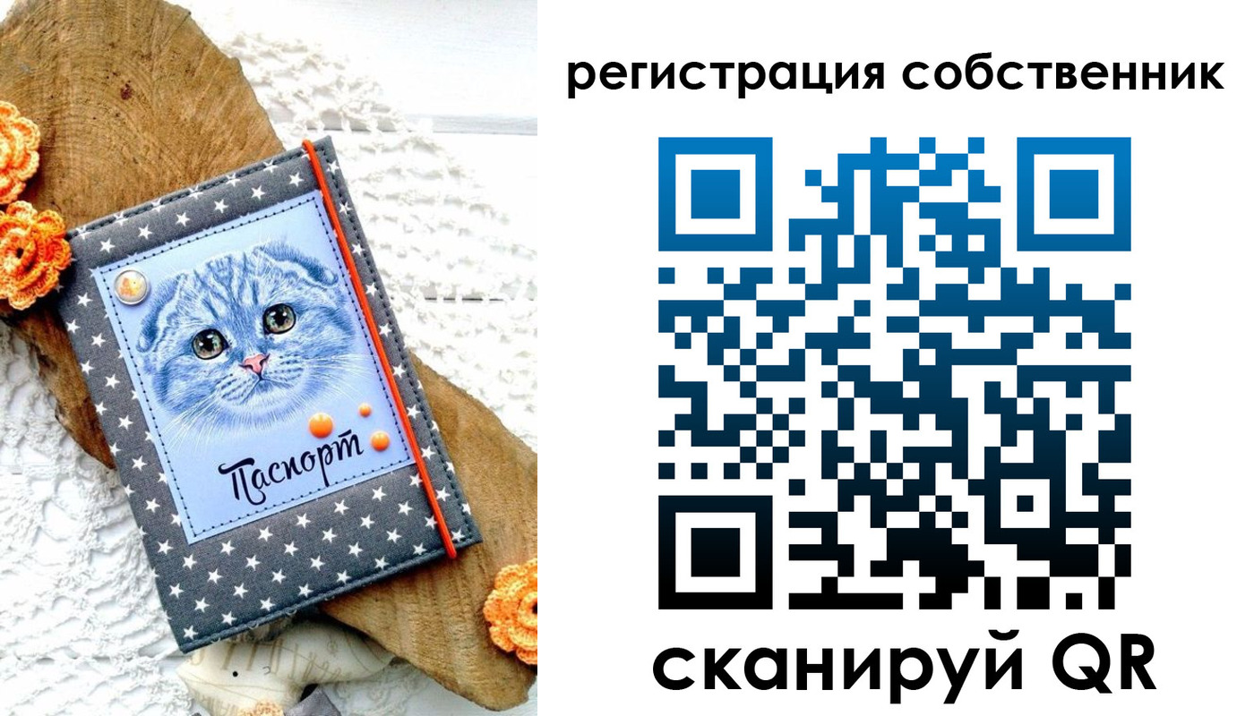 прописка для работы в Славгороде